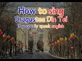 How to sing Dragostea Din Tei if you don't know Romanian