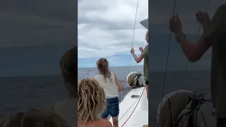 We finally see land after over three weeks at sea!!! #family #sailing #pacific #viral