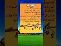 Download Lagu Auarat K Shan | Islam main Aurat ka Maqam | #quotes #bestquotes #viralquote