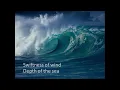 The Deer's Cry by Lisa Kelly with Lyrics Deacon Mark