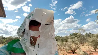 Ep 321 | Exploring OUTBACK AUSTRALIA To See What We Can Find, Nutshell Road Trip