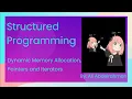 Dynamic Memory Allocation Pointers and Iterators Explanation
