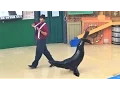 Download Lagu SeaWorld San Diego *Sea Lion Live 4/14/17 FULL SHOW (funny!)
