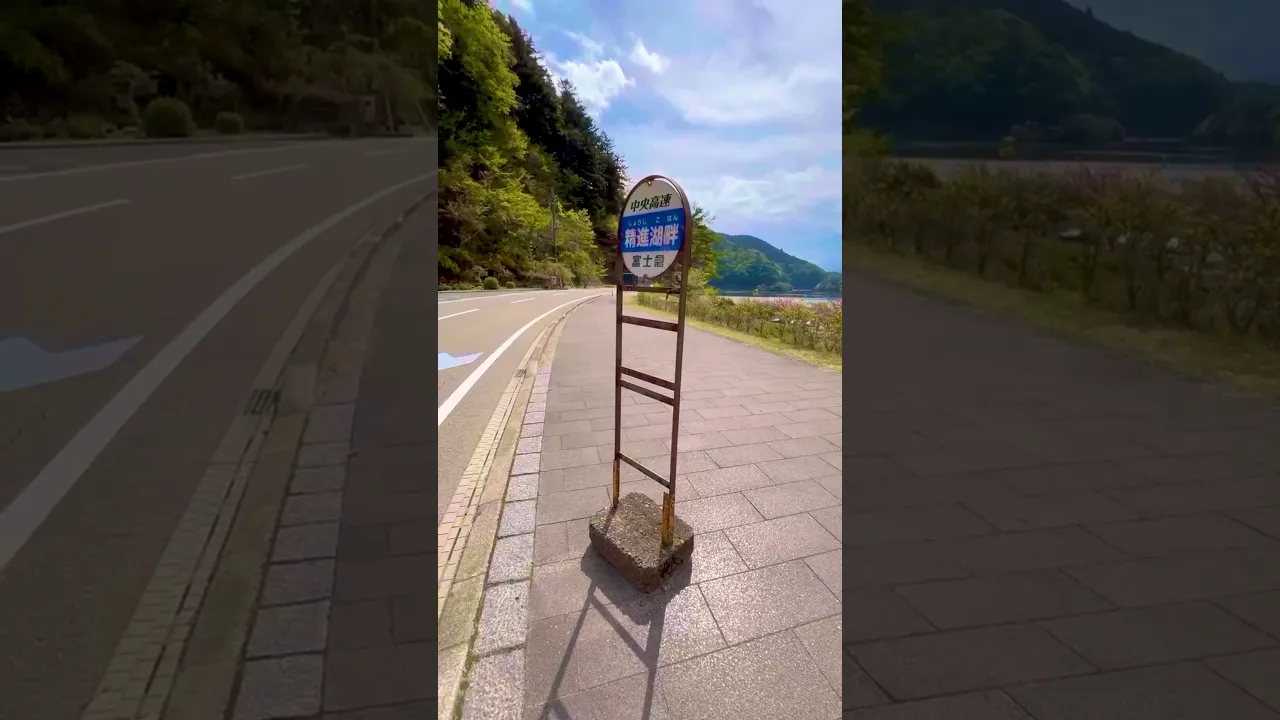 旅先でバス停に時刻表がない絶望。#vlog  #一人旅