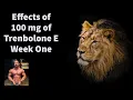 Effects of 100mg of Trenbolone E At Week One
