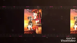 جاي بعد ايه دندنها