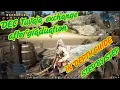 BDO How to Graduation - exchange DEC Tuvala gear