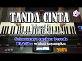 Download Lagu TANDA CINTA -  Meggi Z - Karaoke Dangdut (COVER) Korg Pa3X
