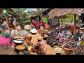 Download Lagu Landelijke Afrikaanse marktdag in Ashangwa Nigeria 🇳🇬 West-Afrika