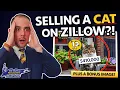 Selling a Cat on Zillow A Listing Mistake NYC Long Island Sellers Need to See