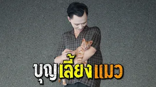 บุญเลี้ยงแมว : คติธรรม 3D EP.187