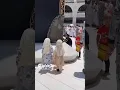 Download Lagu Labbaik allahumma labbaik 🕋🥀 #viralshort #shorts #cutebaby #shortsfeed #baby #makkah #cute
