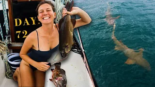 Surviving off our catch with HUGE LURKING SHARKS | Over The Top S2CH.16