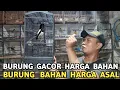Lagu DIKEJAR SETORAN || KACER GACORAN 350 RIBU CICI LURIK 30 RIBUAN DI KIOS MANTO PASAR BURUNG PRAMUKA