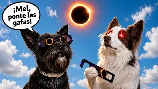 ¡Mel mira el Eclipse SIN GAFAS! 😱🌑 | Nuestro día del eclipse