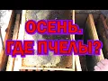 Download Lagu ГДЕ ПЧЕЛЫ?