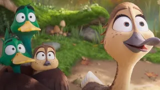 البط المهاجر 5 