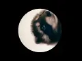 Pedro Raccoon Dancing Pedro Pedro Pedro Pe Song Viral Raccoon Pedro Dance Meme