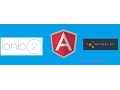 How To Create Ionic 2 App Angular 2 Wordpress REST API Tutorial Beginners