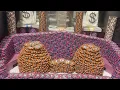 I Tried a 50 000 000 High-Limit Coin Pusher Can We Win CAN T BELIEVE THIS HAPPENED
