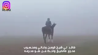 فاقد لي شيخ قوم     دندنها