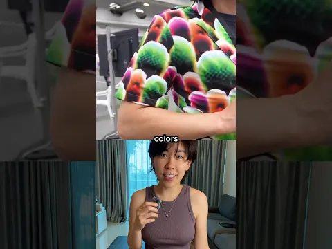 This Shirt Makes You Invisible to AI Cameras