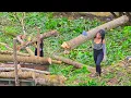 Lagu Agricultural vehicle, two girls transporting large logs. #wood #chainsaw #tractor #tractorvideo 