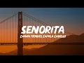 Download Lagu Shawn Mendes, Camila Cabello – Señorita (Lyrics)