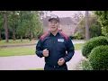 How To Get Rid Of Stinkbugs Fox Pest Control