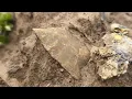 It s Heating Up - Arrowhead Hunting Missouri 2026