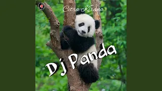 dj panda