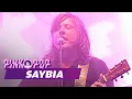 Download Lagu Saybia - Full Concert [HD] | Live at Pinkpop 2003
