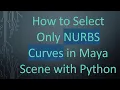 How to Select Only NURBS Curves in Maya Scene with Python
