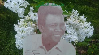 مجموعة من أغاني صالح الضي 