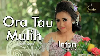 Download Intan Chacha - Ora Tau Mulih ( Official Music Video ) MP3