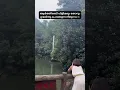 Download Lagu #explore #nature #explorepage #reels #instagram #viralvideo #ytshorts #china #trending #viralvideo