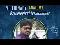 Veterinary Anatomy Osteology Class 1 Continued