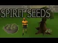 OSRS - Spirit seeds GUIDE
