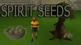 OSRS - Spirit seeds GUIDE