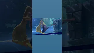 Https Youtu Be Zq3KhxUk3hI Si 8E4rS4k1UjOTVGbY Go And Check Out My Full Video 