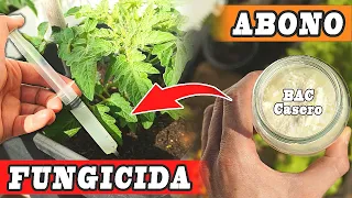MÁS FLORES y PLANTAS ENORMES (SIN PLAGAS) ABONO y FORTIFICANTE casero - resultado INMEDIATO