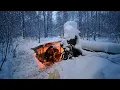 24 Hours Alone in the Winter Forest: Survival in Deep Snow under a Fallen Tree Root
