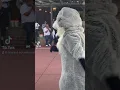 Meeko