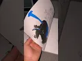 Godzilla coloring