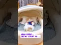 Download Lagu KUCING NINA BOBO #kucing #tidur #cute #funny #lucu #animal