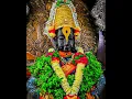Vitthal maza maza maza mi vitthalacha | Jay hari mauli |