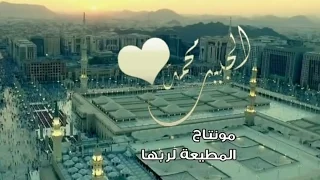 نور اضاء بصيرتي فأضائني لما تذكرت الحبيب محمدا دندنها