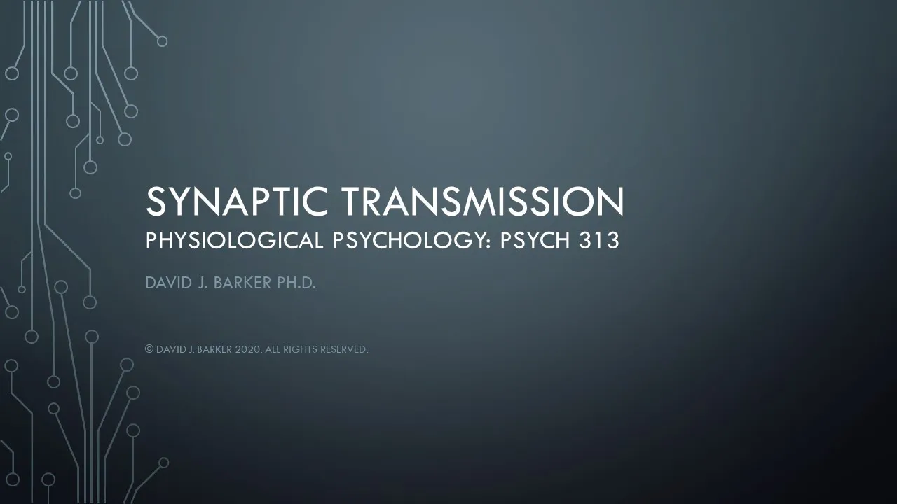 04-- Synaptic Transmission