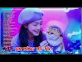 Download Lagu Xin Đừng Yêu Tôi ♫Allbum Electro Ballad 80s Sôi Động 2025|Phần 47-Nhạc Chill Gây Nghiện