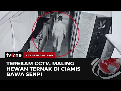 Aksi Pencurian Hewan Ternak Terjadi di Ciamis, Pelaku Bawa Senpi saat Beraksi!
